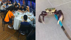 A Single Seafood Meal Blew A Tourist’s Budget So Much The Police Were Literally Called