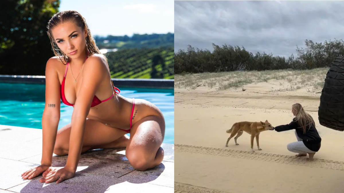 an australian influencer has posted a dingo picture on k'gari island