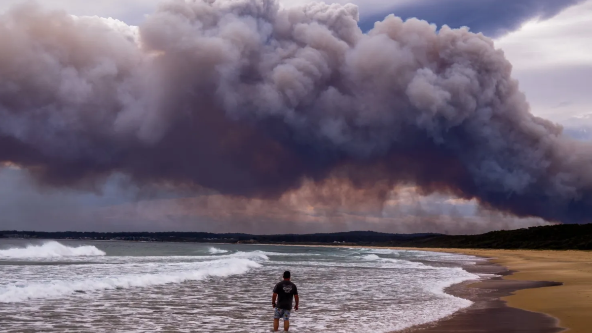 nsw bushfires upgraded to highlest emergency level, catching up to the vic bushfires