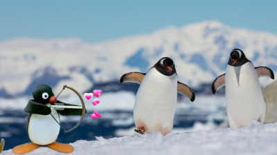 Gentoo Penguins At Sydney Aquarium Have Reminded My Delulu Ass That Love Still Exists