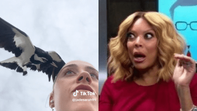 An Influencer Has Gone Viral For Sharing The Fked Moment A Magpie Launched Into Her Eye Socket