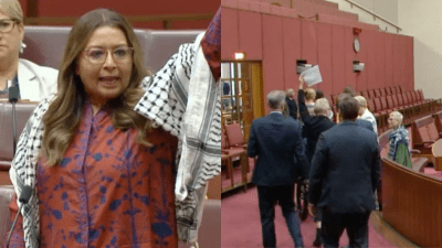 Mehreen Faruqi Led An Extraordinary Walkout In Senate In Protest Of Albo’s Weak Israel Stance