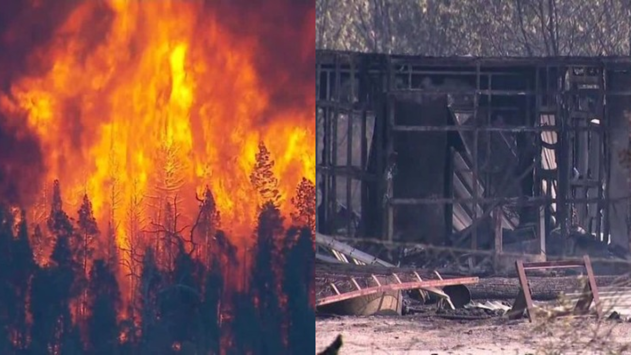 tara fires destroyed more homes than black summer queensland fires