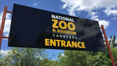 Woman Found Dead At Canberra’s National Zoo And Aquarium, 29-Year-Old Man Arrested