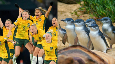 Taronga Zoo Named 7 Baby Penguins After Matildas Players Cos’ Who Else Deserves Such An Honour
