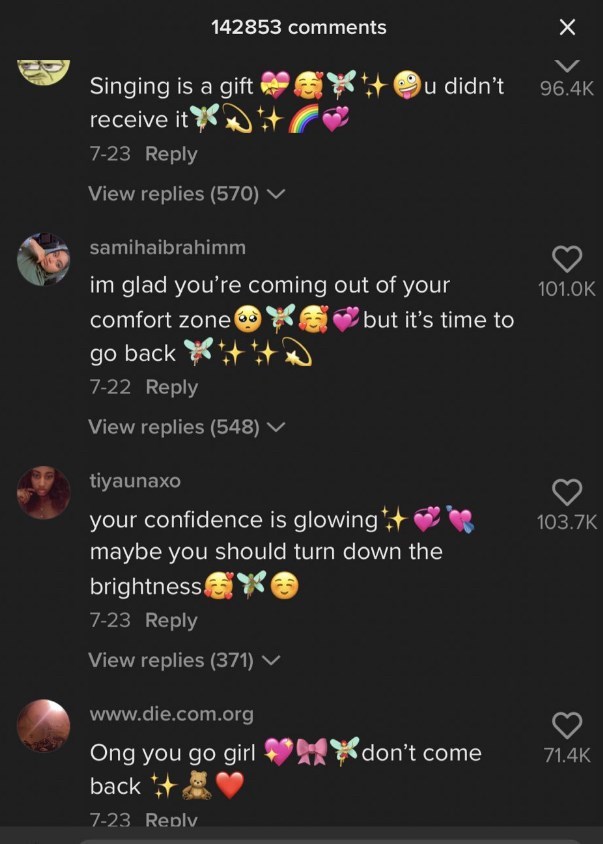 stylised-mean-tiktok-comments