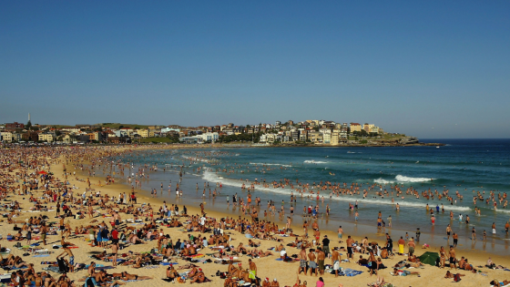 ‘Not An Event Space Or A Venue’: Council Votes To Ban Bondi Beach Booze Events On Its Sand