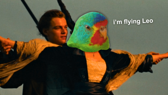 Leonardo DiCaprio Calls On Aus To Save Endangered Parrot Species (Its Lifespan Doesn’t Reach 25)