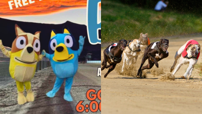 Tassie Sports Club Defends Using Characters From Bluey To Promote Greyhound Racing Event