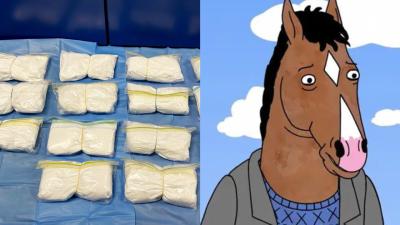 A Record Amount Of Ketamine Is Being Seized At The Border, In Bad News For… Horses