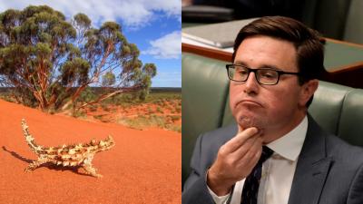 Nationals Leader David Littleproud Wants To Combat Youth Crime By Sending Kids To The Outback