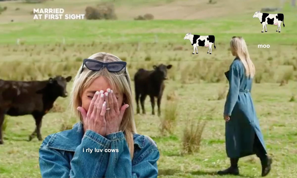 Madeleine Maxwell on MAFS with her head in her hands, and some cows in a paddock. text reads 'i rly luv cows' 'moo' and there are emojis of cows.