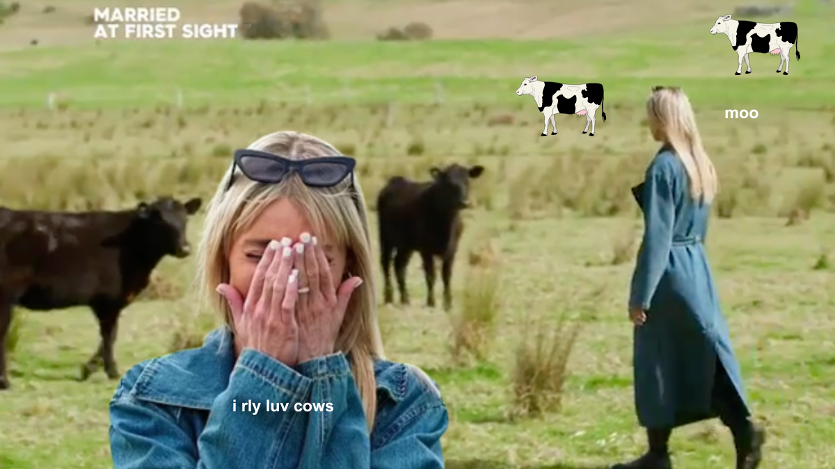 Madeleine Maxwell on MAFS with her head in her hands, and some cows in a paddock. text reads 'i rly luv cows' 'moo' and there are emojis of cows.