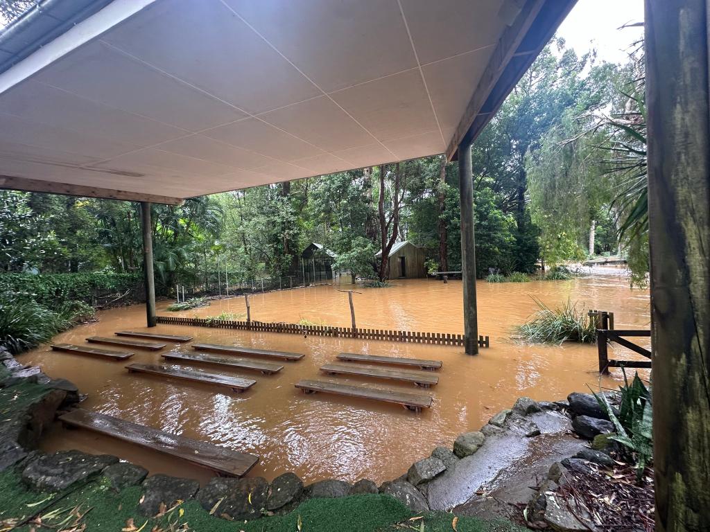 byron-bay-wildlife-sanctuary-flooded-nsw-storm