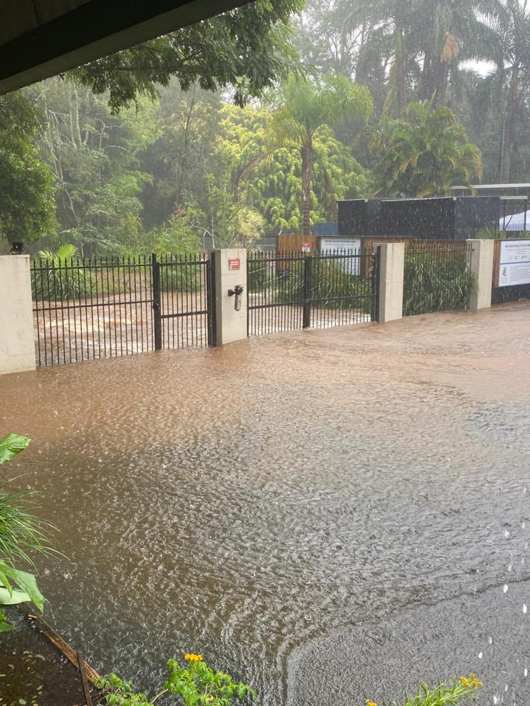 byron-bay-wildlife-sanctuary-flooded-nsw-storm