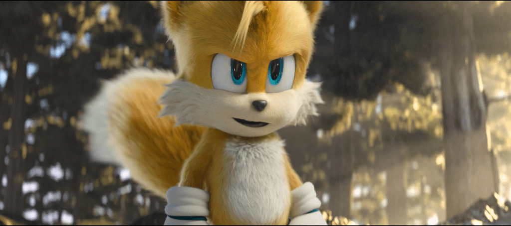 Tails the fox from Sonic The Hedgehog