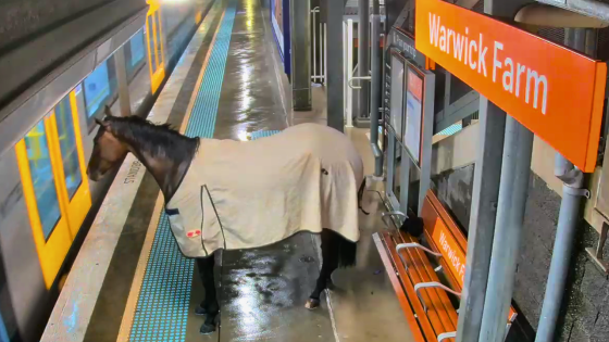 Security Cameras Capture Footage Of A Passenger Horsing Around At Train Station In Southwest Syd
