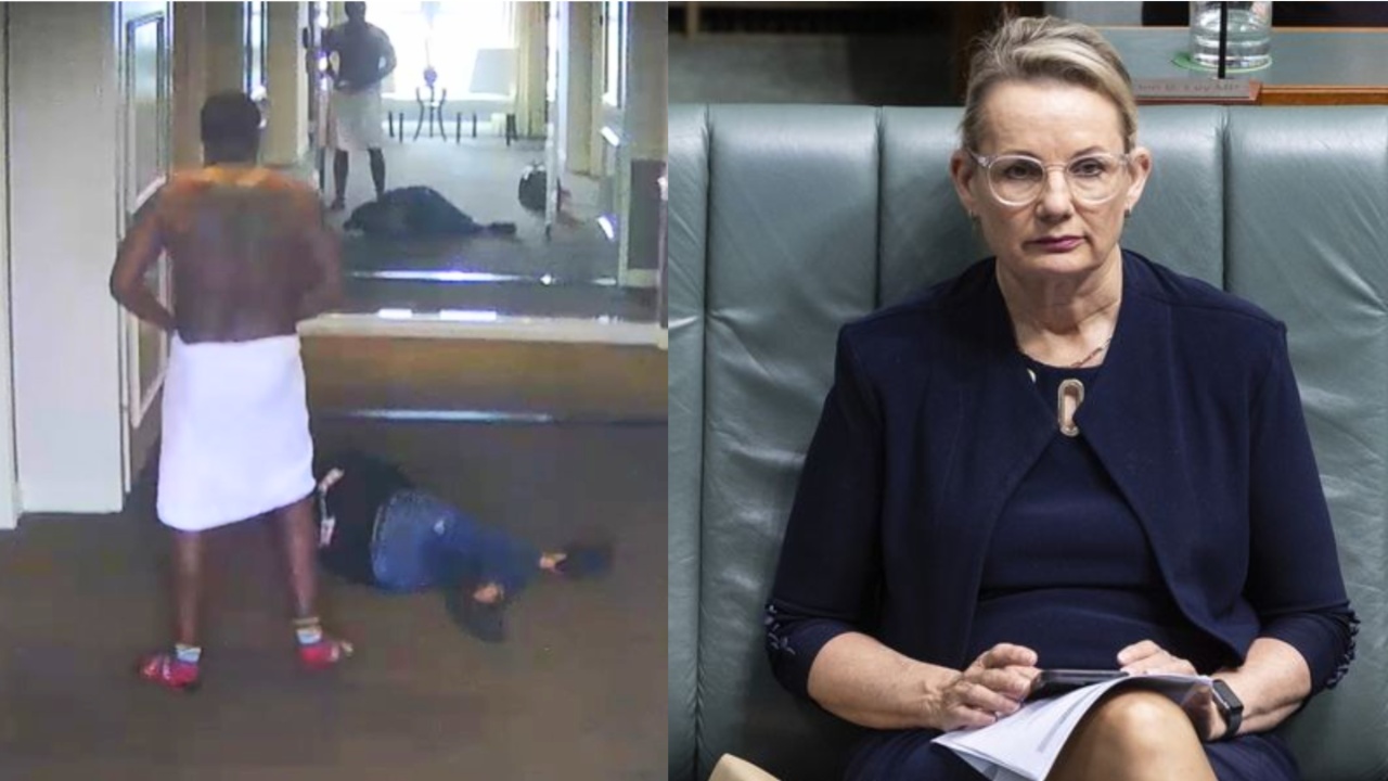 Deputy Liberal Leader Sussan Ley Urges Aussie Businesses To Boycott Diddy After Attack Footage