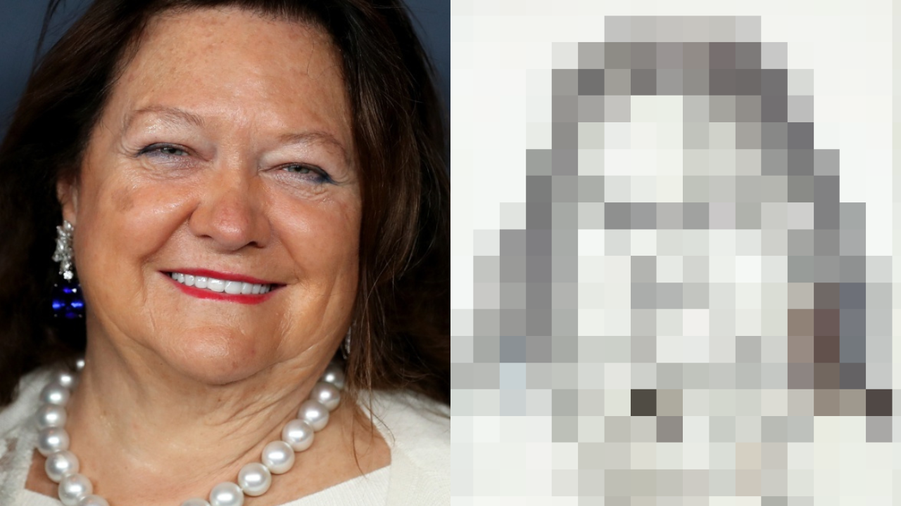 Australia's richest woman Gina Rineheart reportedly wants to oust yet another portrait of herself from Australia's National Gallery in the painting equivalent of saying, "omg ew, delete it - I look gross".